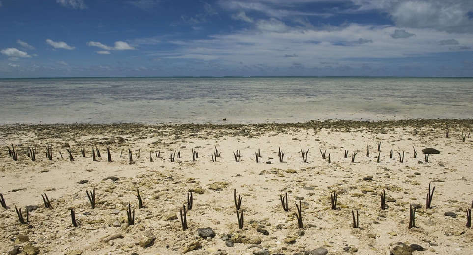 International News: Increasing water crisis for African elephants due to climate change